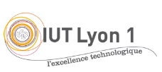 Logo IUT Lyon 1